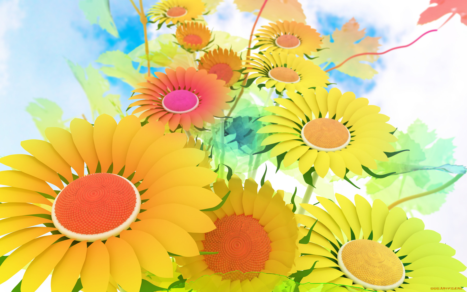  ,  , flowers, , 